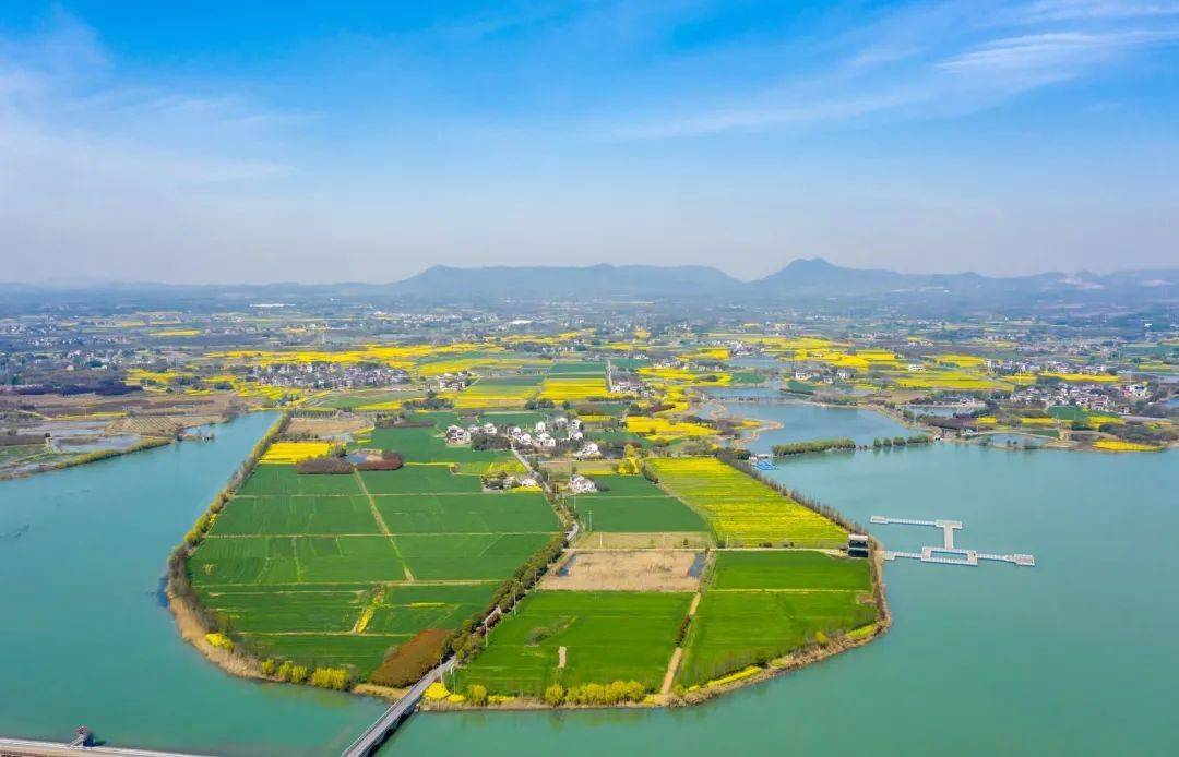 别桥镇:勇担新使命 扬帆再起航 坚定迈向绿色现代化发展的新征程