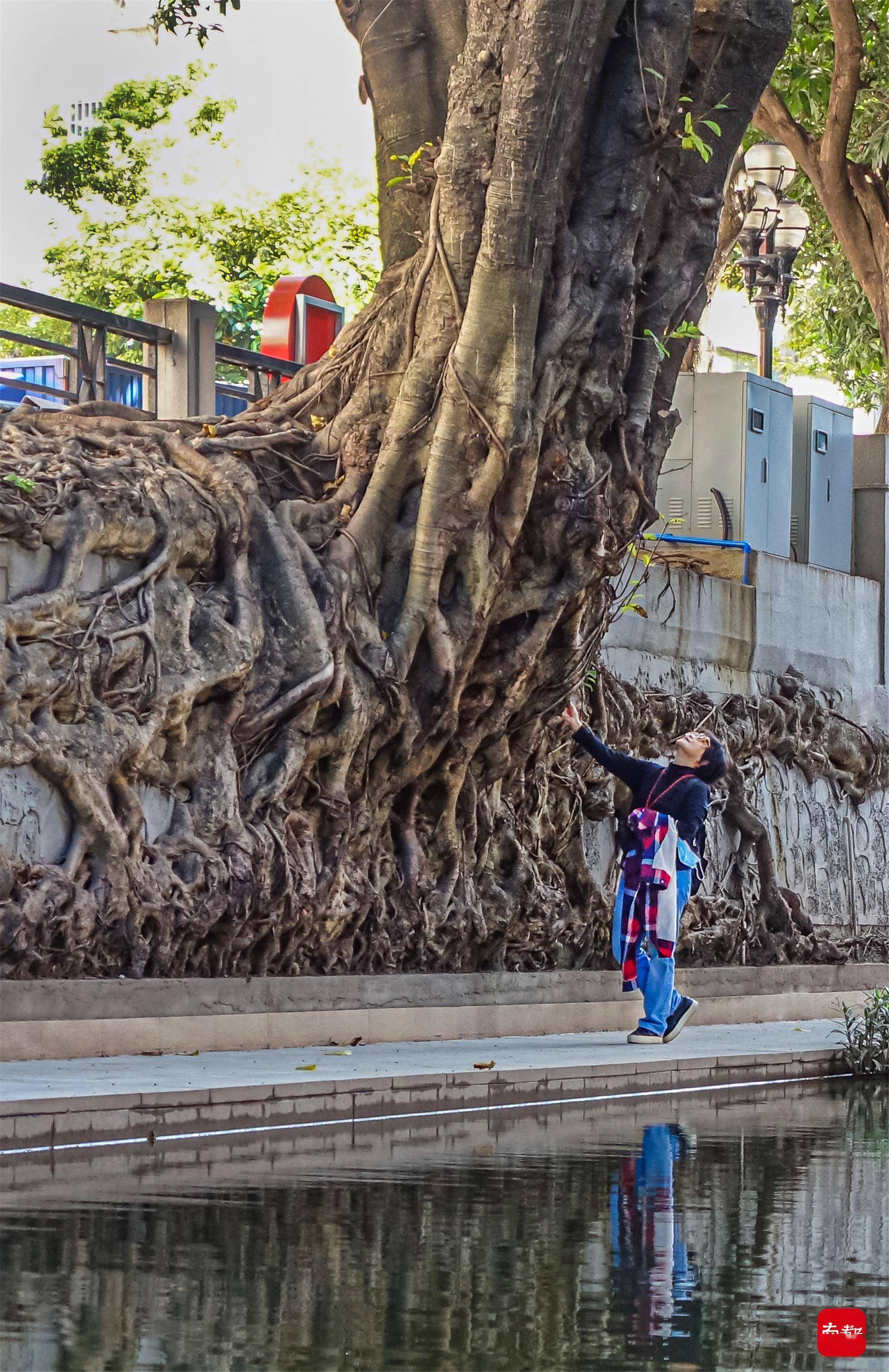 图集：鱼翔浅底，水清岸绿，打卡广州首个双层碧道_新河_浦涌_南都