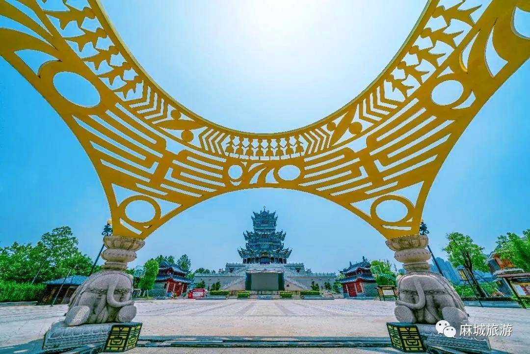 我为麻城菊花代言第九届湖北麻城菊花文化旅游节开幕来袭