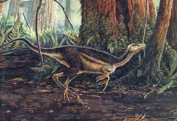 揭秘恐龙化石丨亿年前这种恐龙为何被命名为“鸟”？