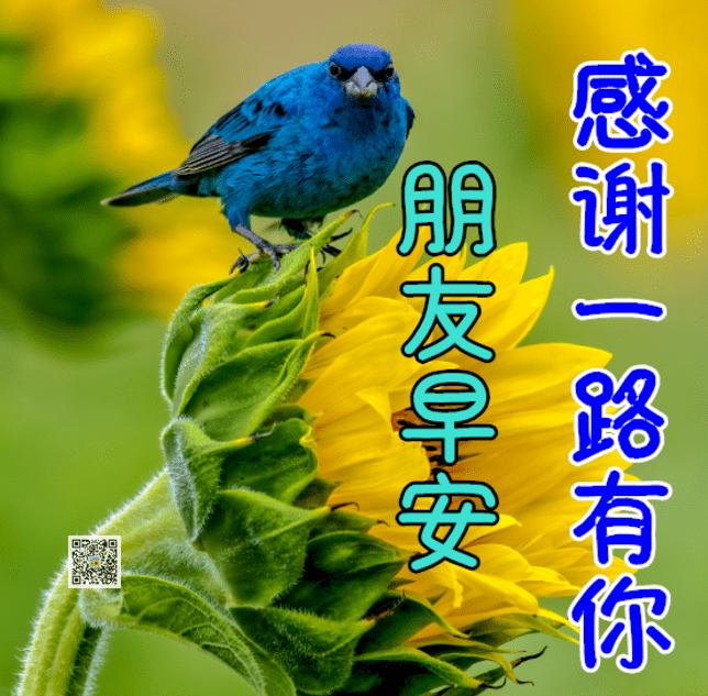 11月29日最新早上好动态表情图片大全冬天早上好问候语