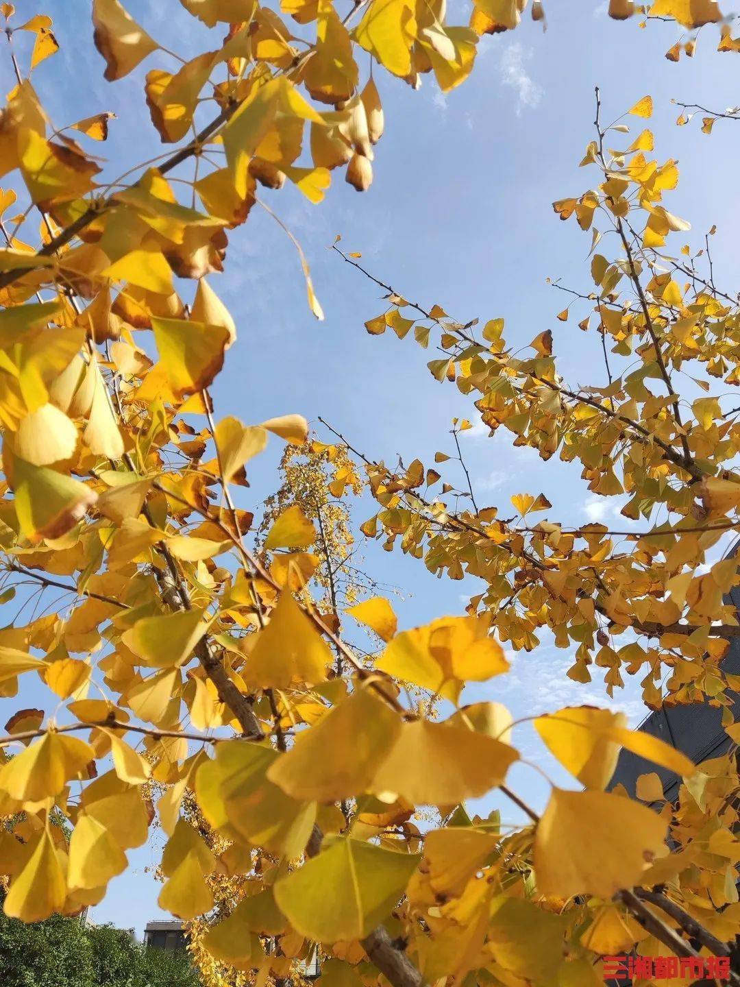 冷冷冷!最低0℃!@湖南人,你的秋裤安排好了吗?_寒潮_天气_影响