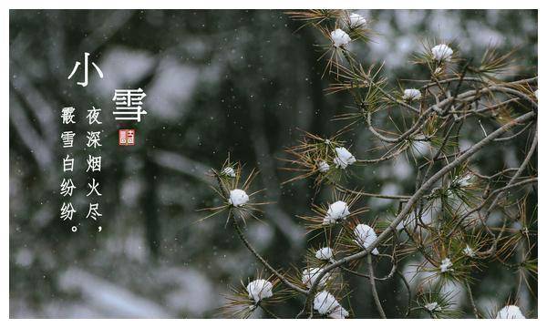 小雪节气 对酒独酌 一首冬日之诗 感受白居易对朋友的思念 皇甫十 诗歌 时节