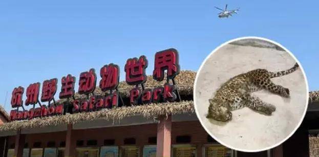 杭州野生动物世界3只金钱豹逃脱案一审宣判_被告人_韩祥_马敬华