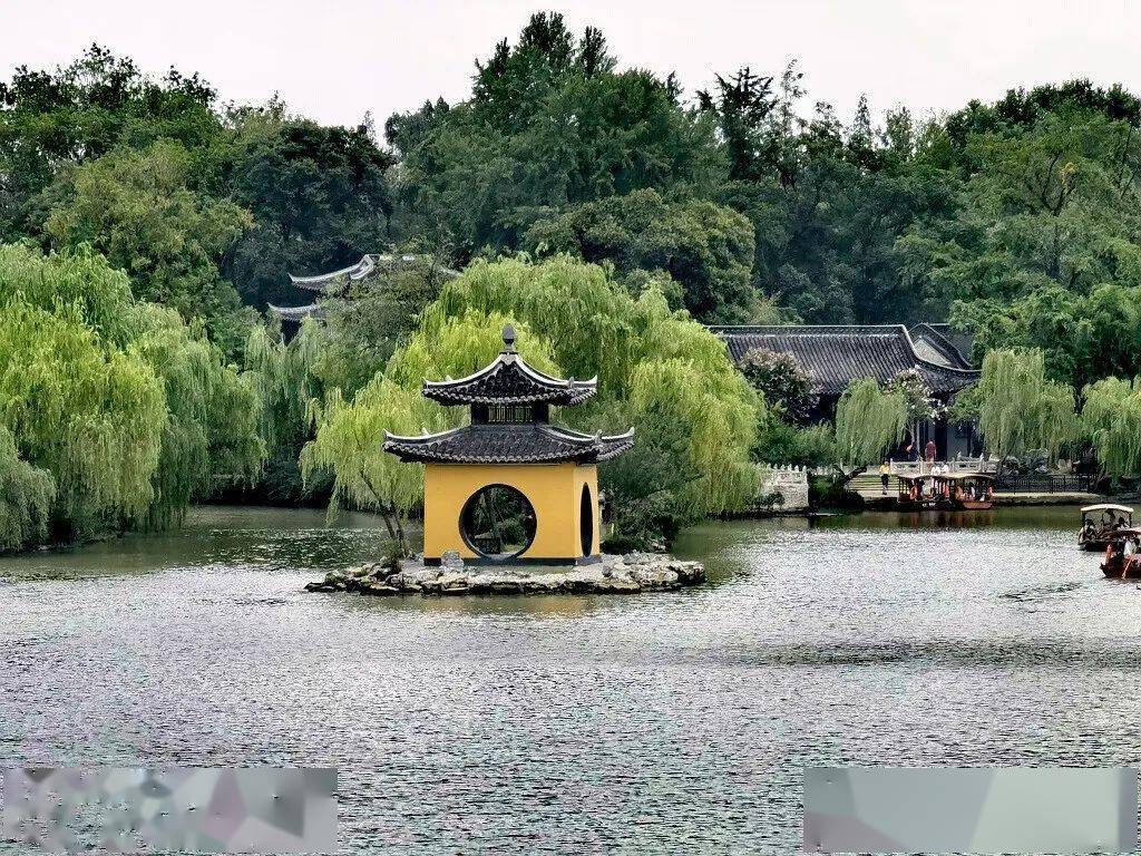 又瘦又小的小金山