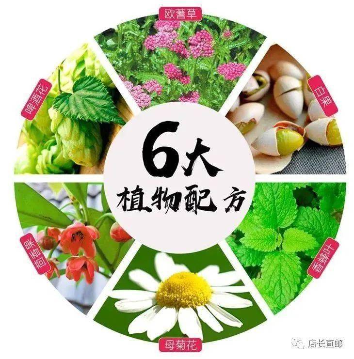 包含为什么植物的修复能力这么差?的词条-第1张图片-鲸幼网