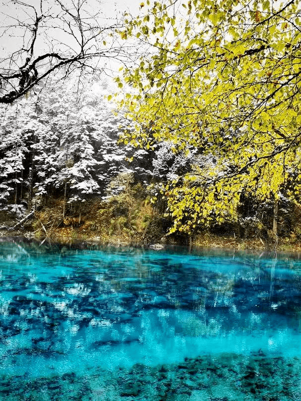 古藏寨|遇见天府旅游名县｜此景只应天上有！在九寨身有所栖，心有所安！