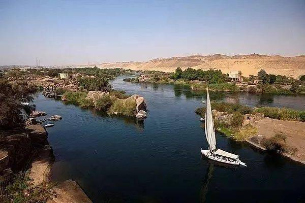 在开罗以北进入河口三角洲,在三角洲上分成东,西两支注入地中海