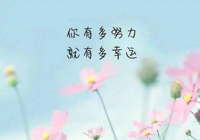 8bfb8e6681604eff92de76348237d93e.jpeg