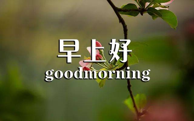 c88393002039415fa5f3a1417ae481ae.jpeg