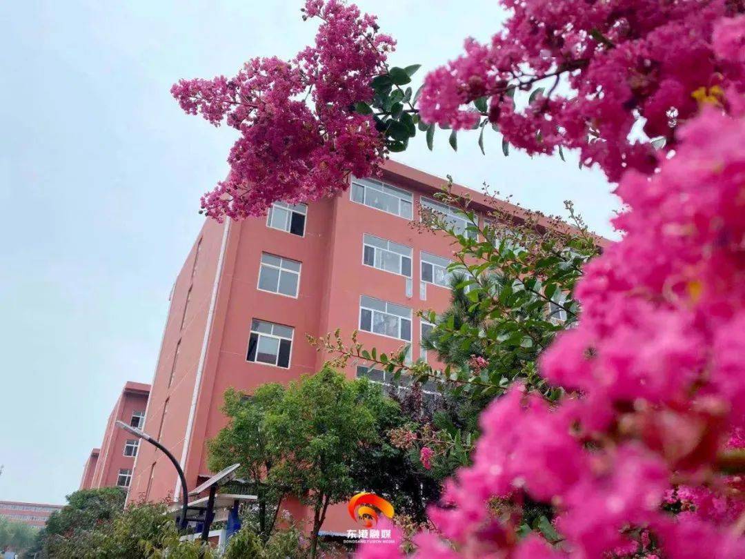 日照大学城,20岁了!_改造_东港区_园区