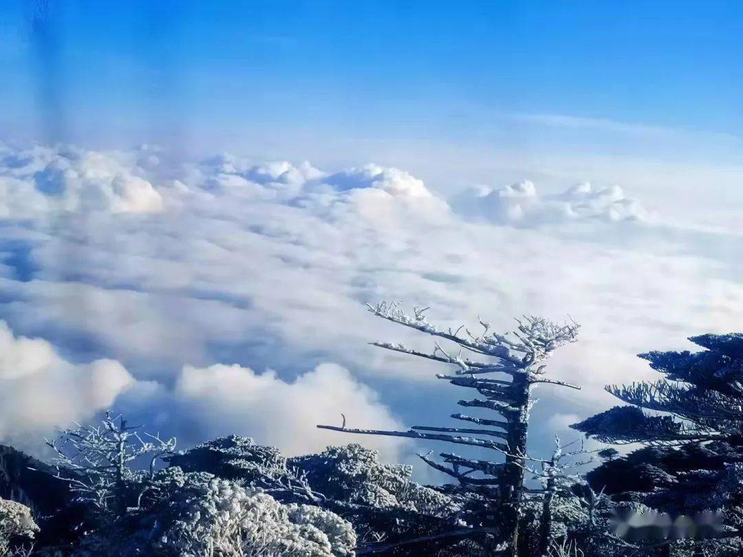 视频图苍山云海这个冬天你一定要来看一次