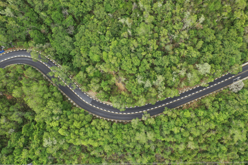 广东|一路风景如画！广东公布最美公路，哪条经过你家乡？