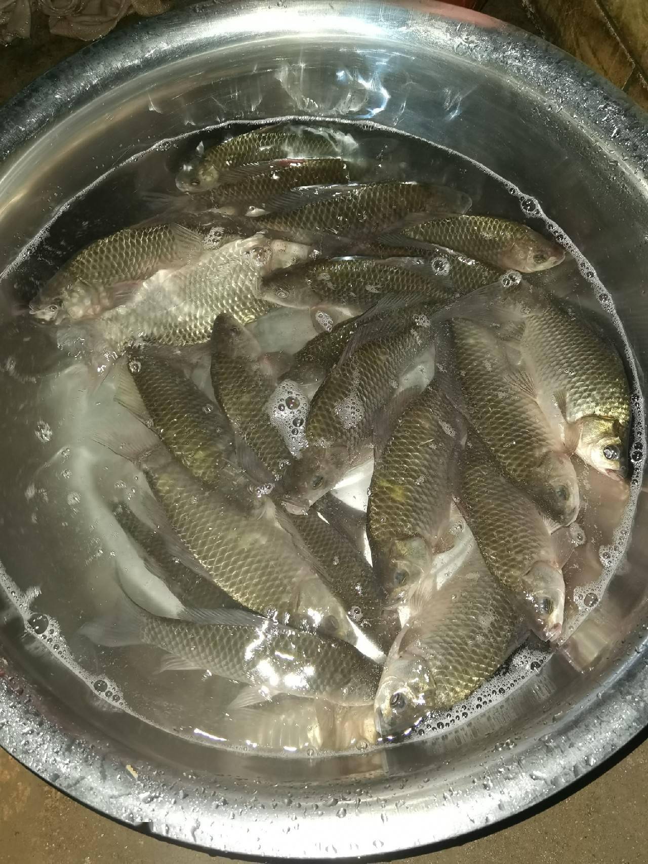 官庄水库野钓爆护之旅看看大师如何用户实践来证明