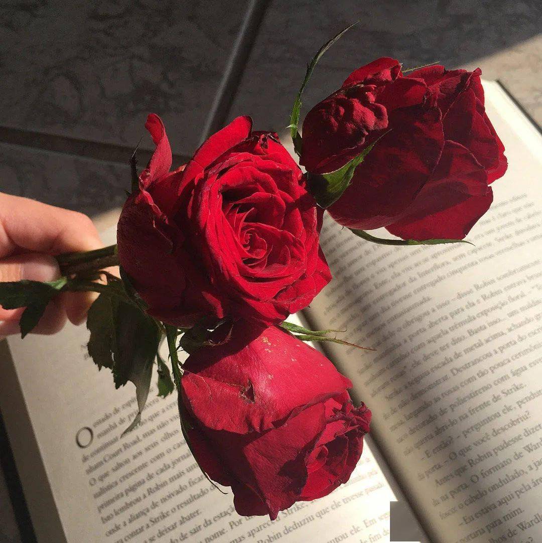 不想再“选错人”，一文教会你「系统梳理」自己的择偶标准