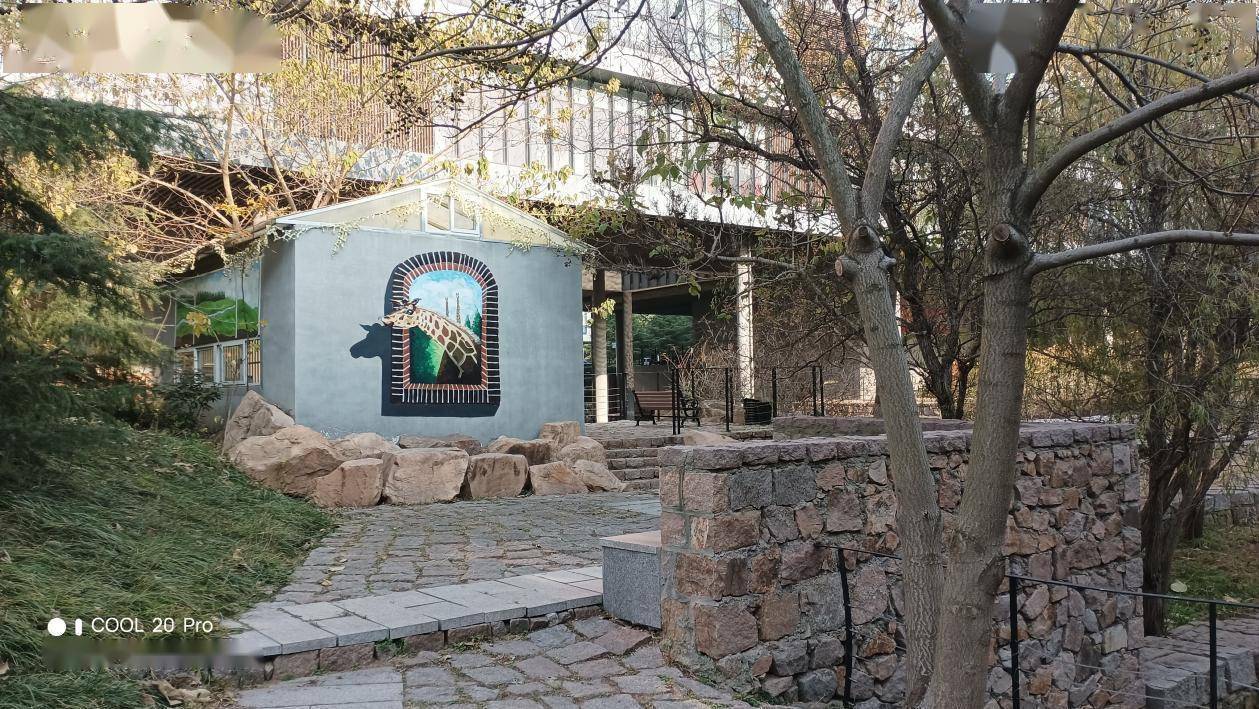 【IT之家评测室】酷派 COOL 20 Pro 评测：另辟蹊径的老朋友