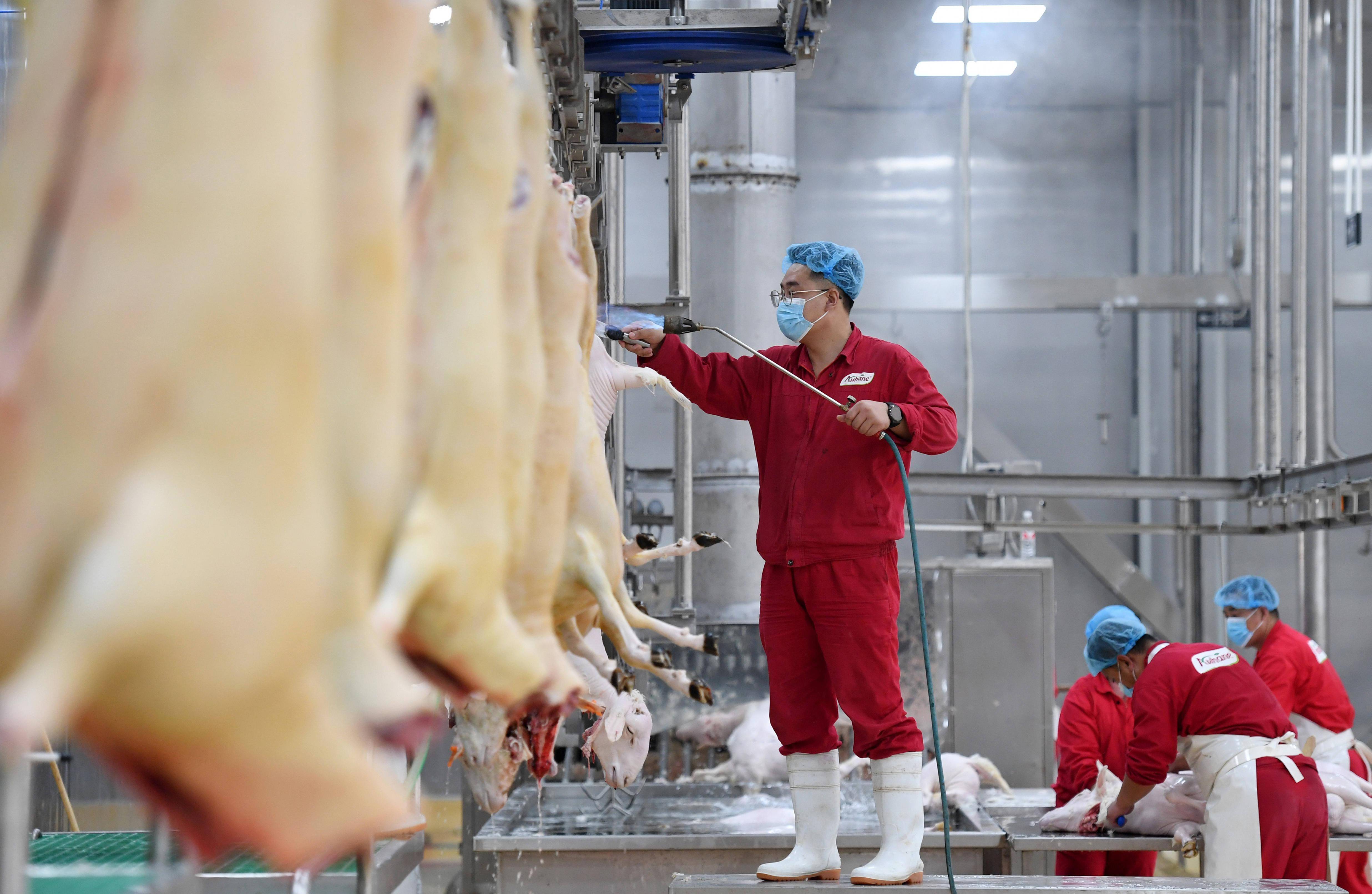 广西都安农业产业园助推高质量发展