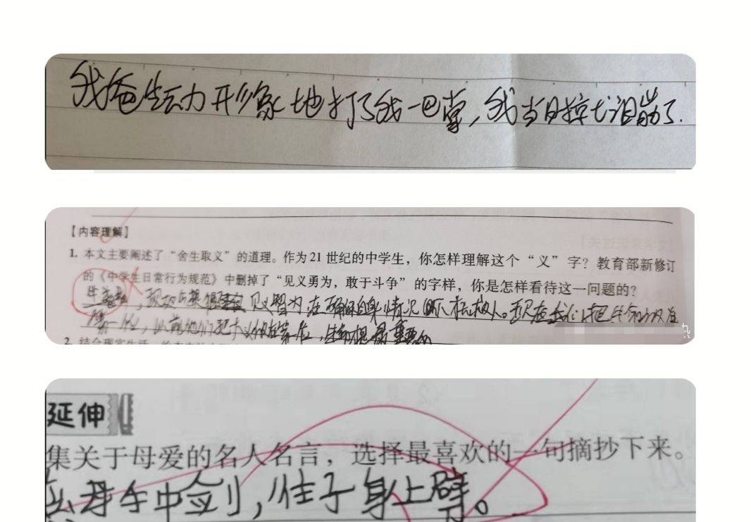 耽美就是未来 双枪会给出答案 学生试卷上的答案简直了 默写 英语 检讨书