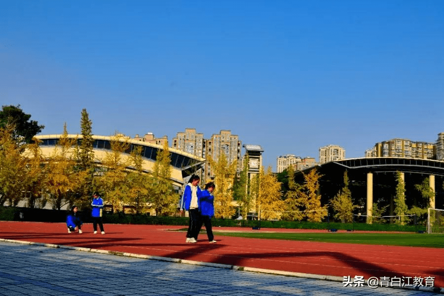 秋冬美圖來襲① | 為你喜歡的校園美景投票吧_winter_beauty_銀杏