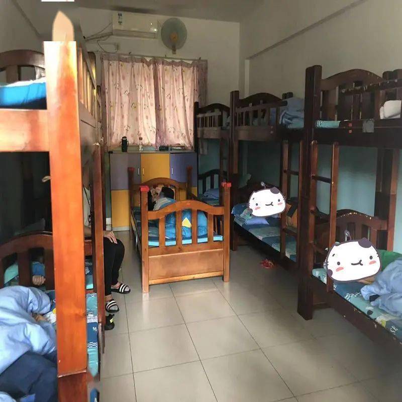 宿舍_指导_工作