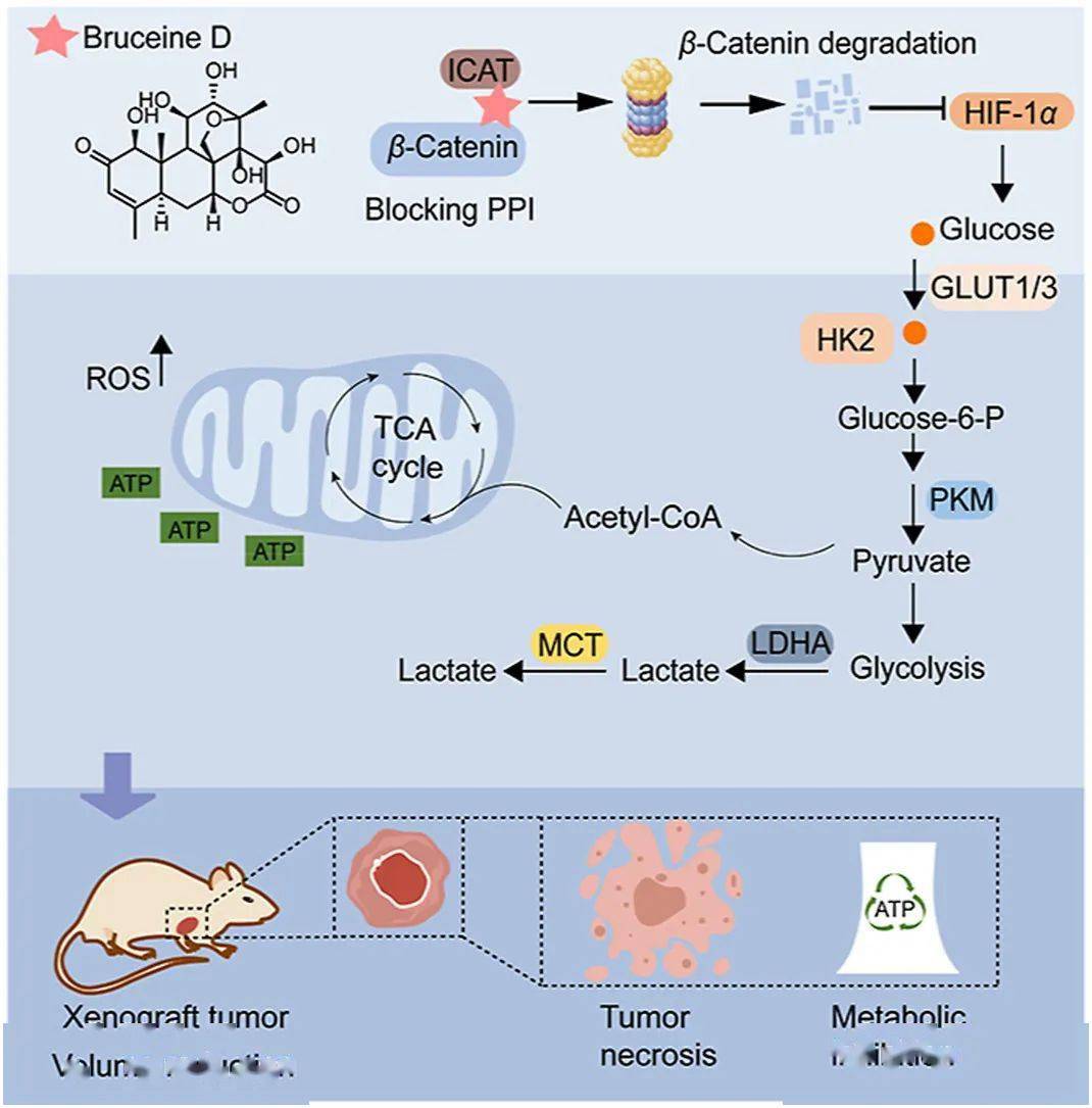 apsb2021年11期上线
