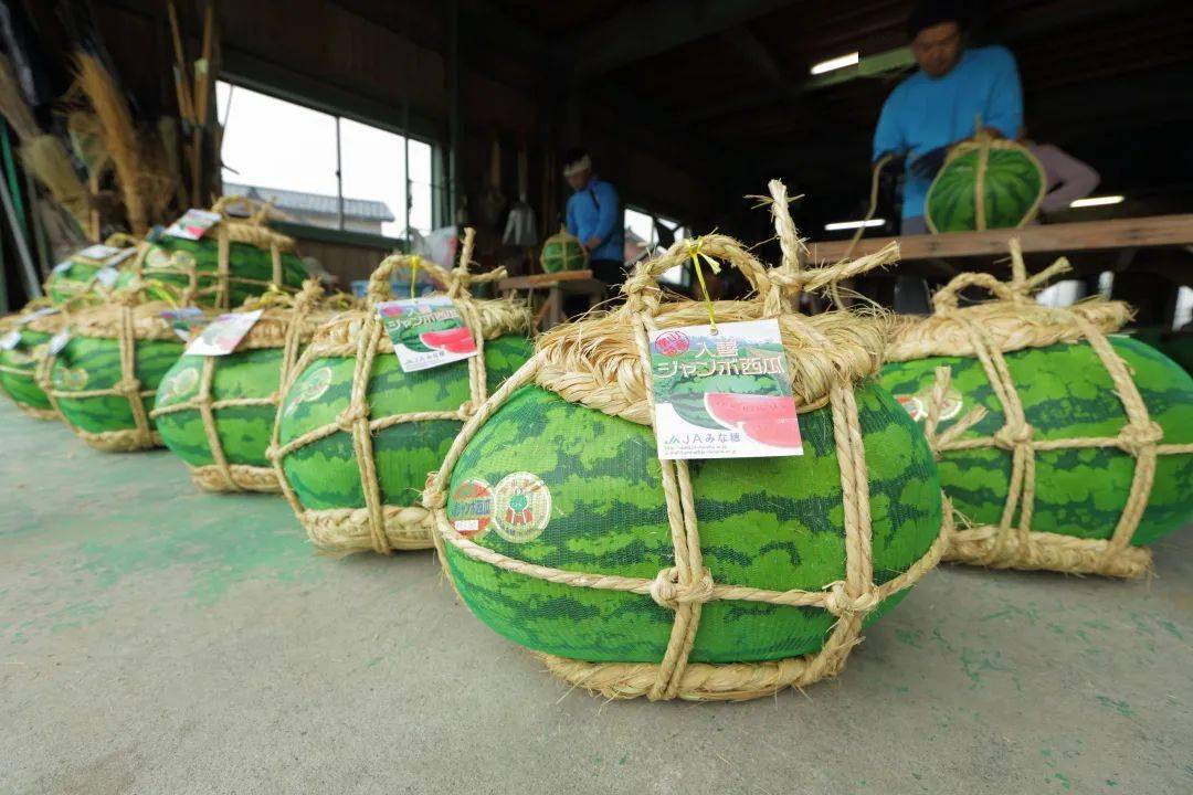 推荐景点|大西瓜