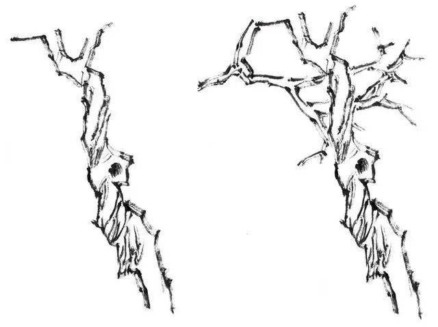 畫柏樹的樹幹和樹枝時,輪廓線與皴紋線必須協調統一.