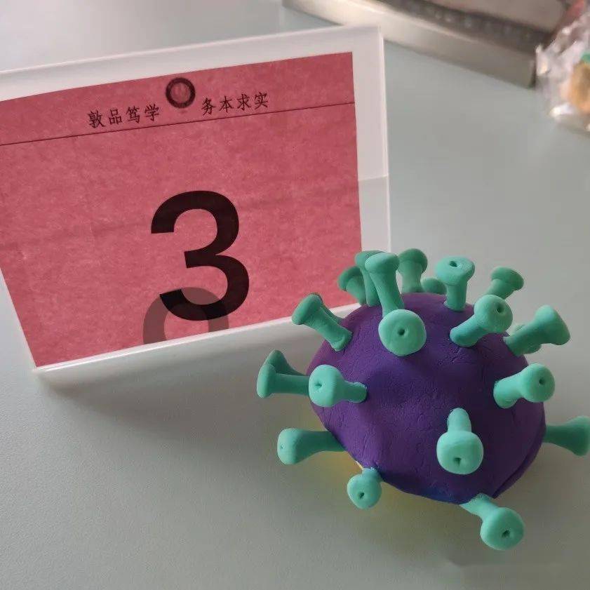 新冠病毒模型制作教程图片