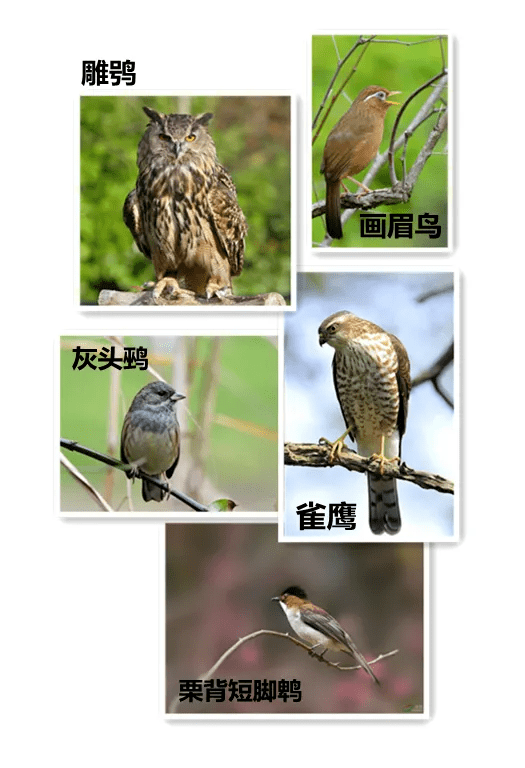 绍兴关注关注绍兴 │ 每天有惊喜