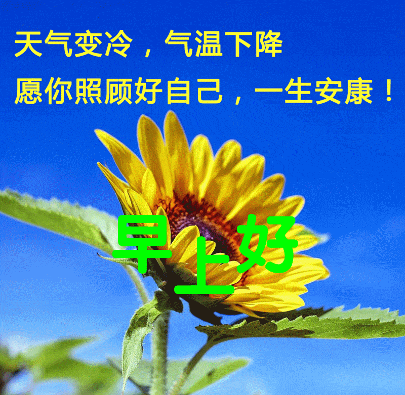 12月2日最新早上好动态表情图片大全冬天早上好问候语