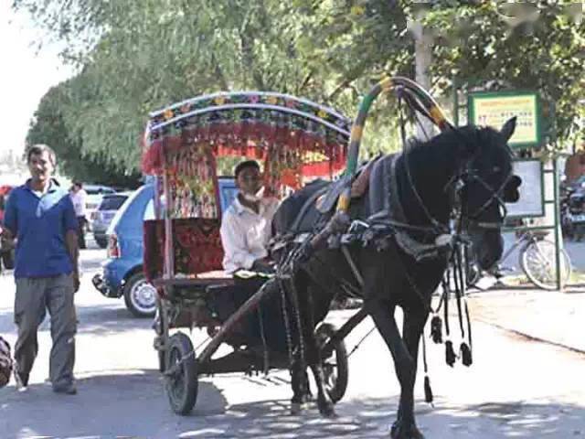 伊犁的哈迪克_伊寧市_馬車_旅遊區