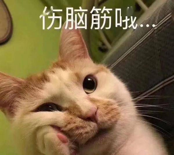 7bb2c42827994c9cb7238f929b80d501.jpeg