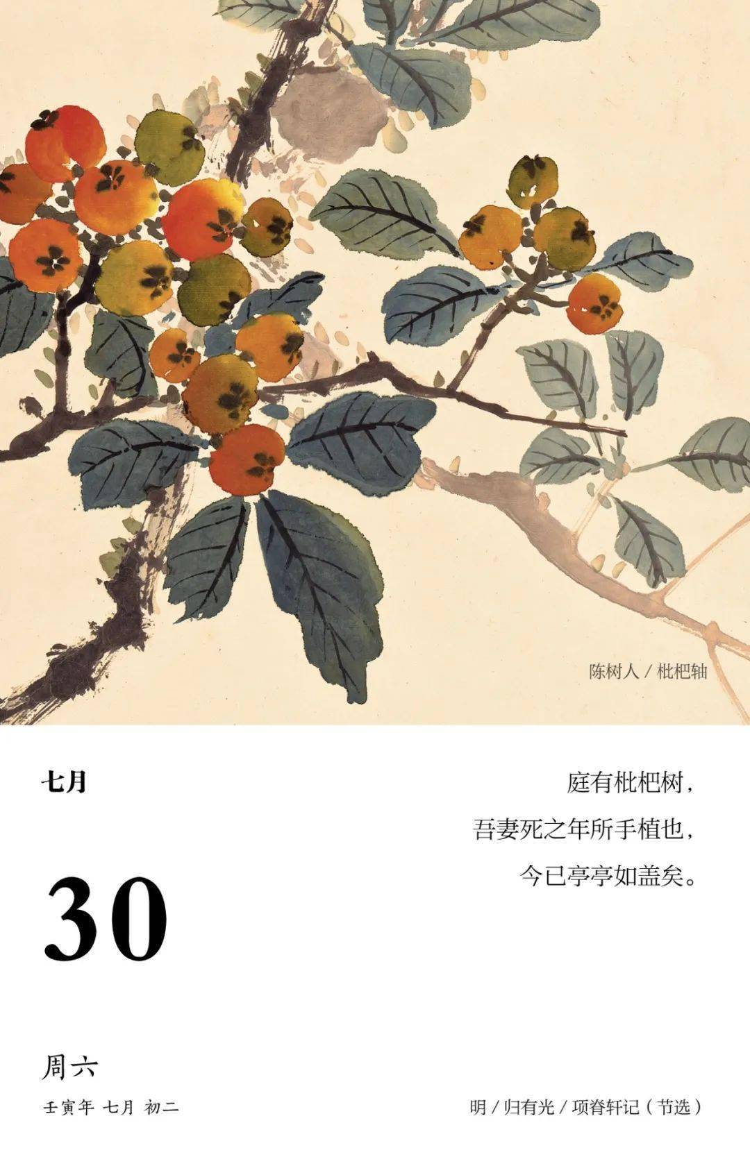 "庭有枇杷树,吾妻死之年所手植也,今已亭亭如盖矣"配上陈树人的《枇杷