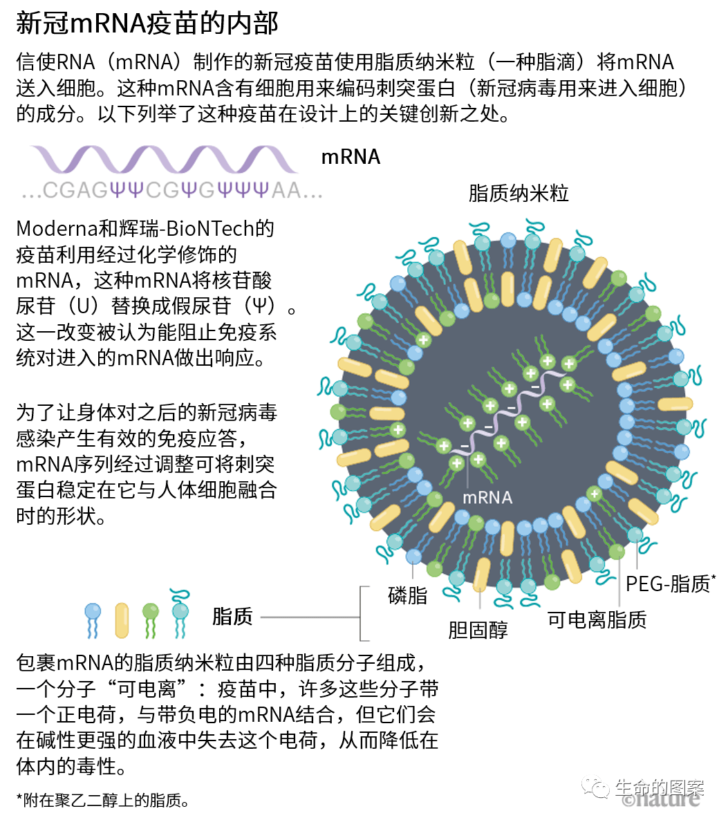 图解精美外表下的邪恶