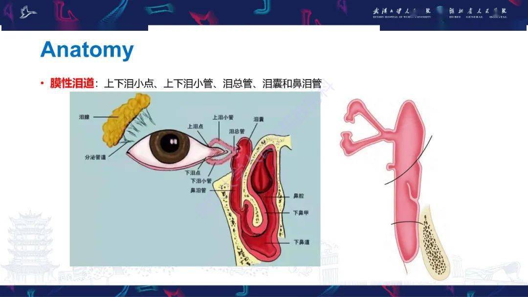 泪道病变影像诊断