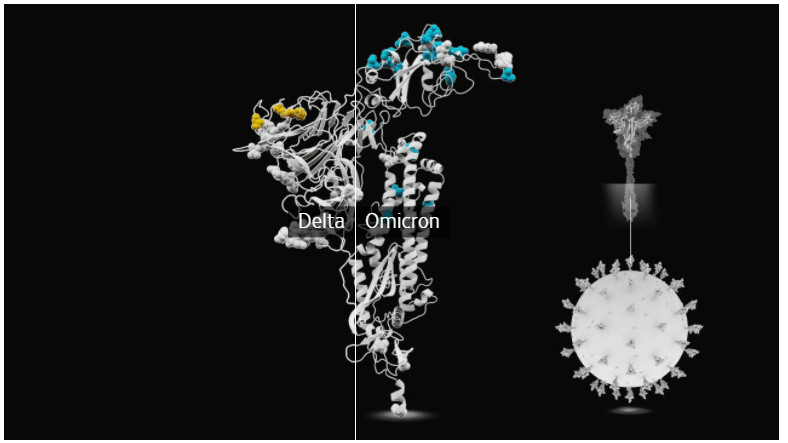 研究发现奥密克戎变异毒株感染风险增加三倍，还好辉瑞和GSK药物“能打”！