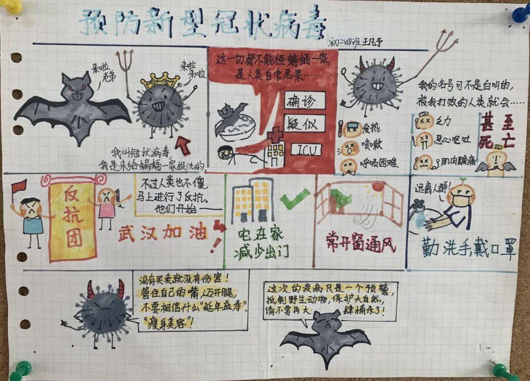 揭秘新冠病毒台江校区鹰之队生物手抄报展