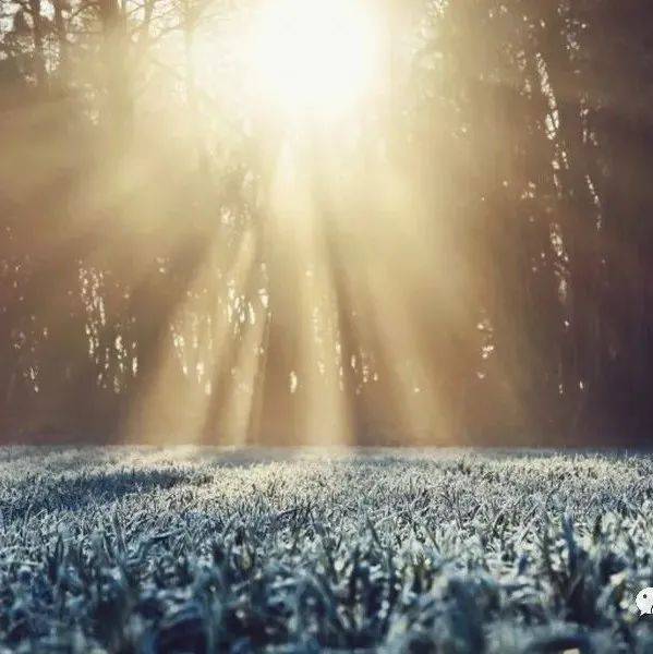 【诗歌】冬日和煦的阳光_幻想_彭銮炎_小我