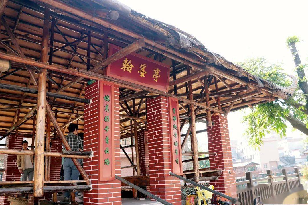 水乡特色示范村望牛墩镇横沥村