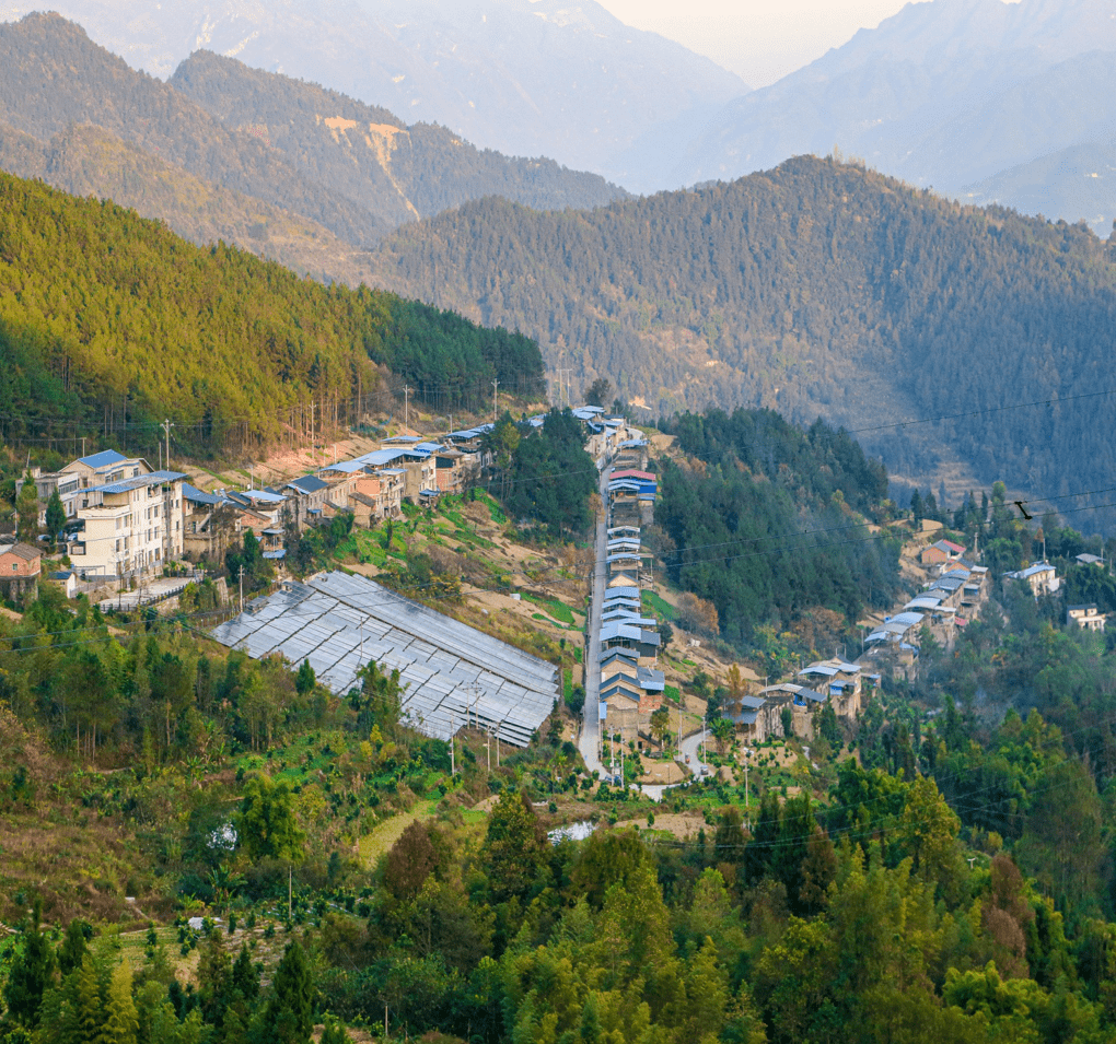 专访丨江口镇党委书记杨宗华:奋力建设高品质宜居宜业宜游美丽幸福"江