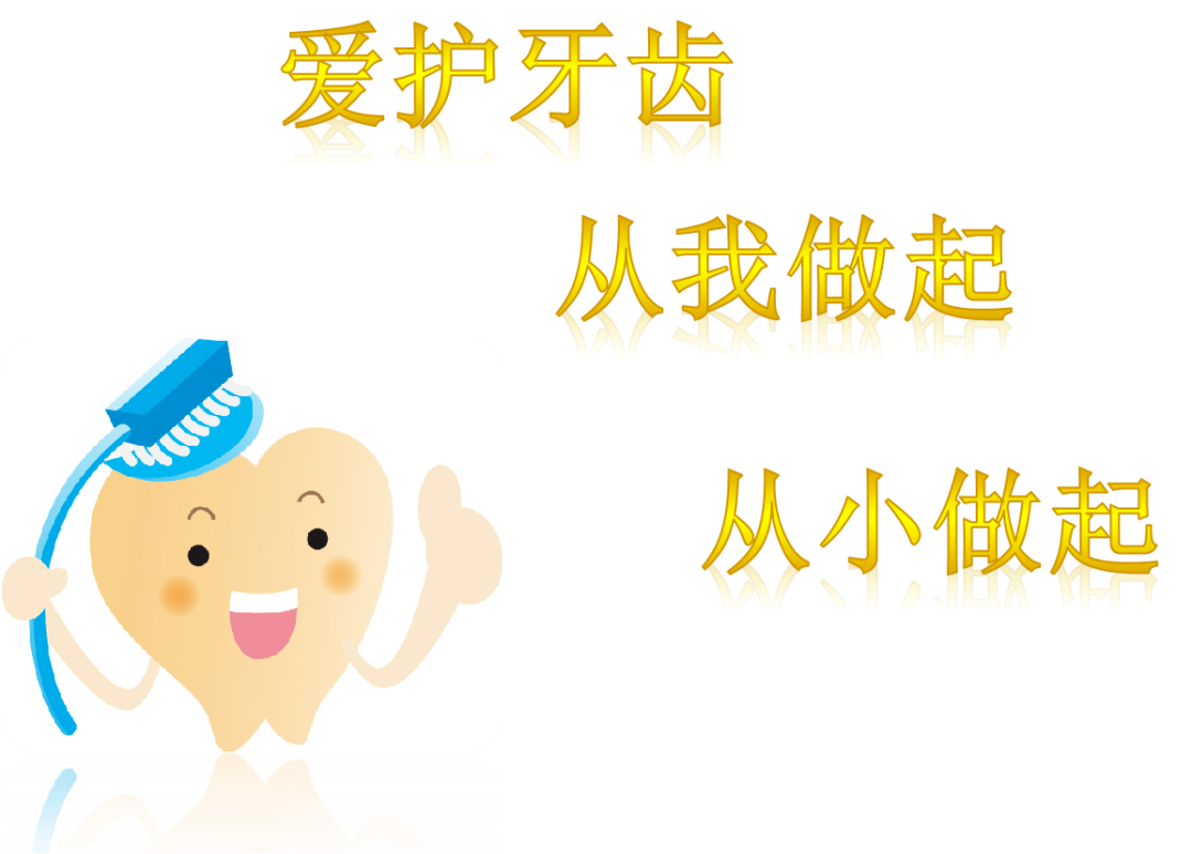 小小一颗牙,里面学问大