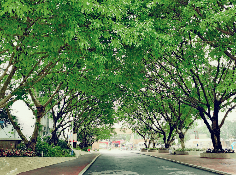 学校风景图片意境图片