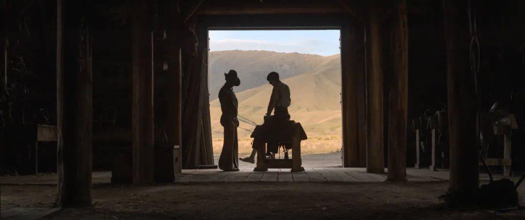 角色|颁奖季！深柜之死，是一场温柔的诱杀