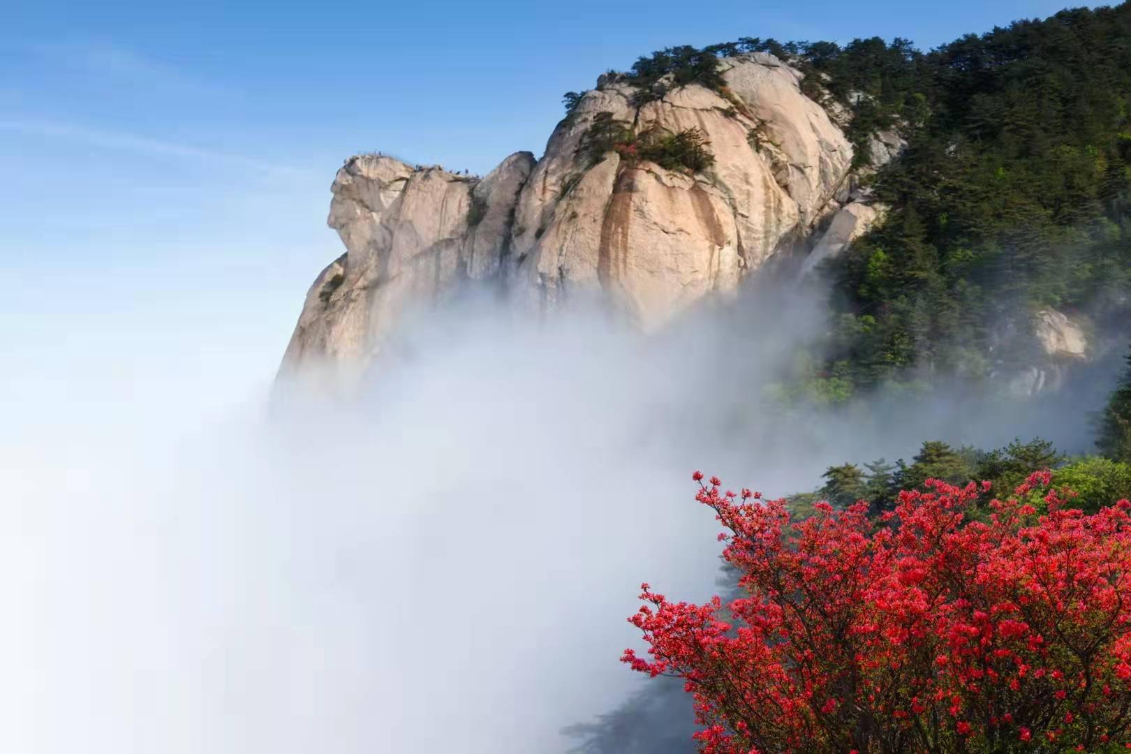 黄冈大别山世界地质公园黄冈文化底蕴深厚,旅游资源丰富,人文生态交相