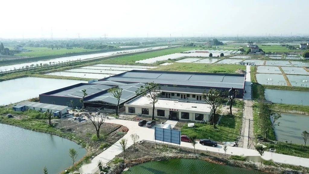 共6家首批市级水产良种场名单公布