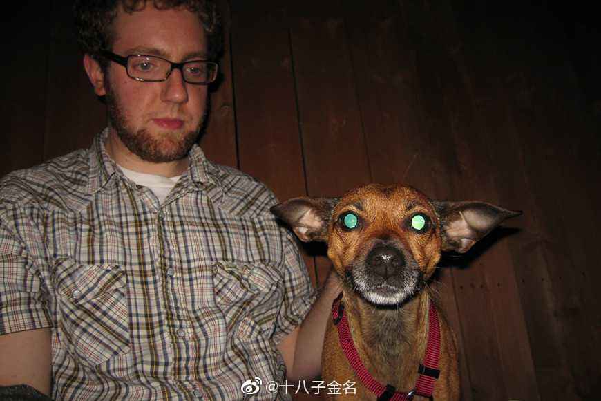 猫狗的眼睛会在黑暗中闪闪发光?
