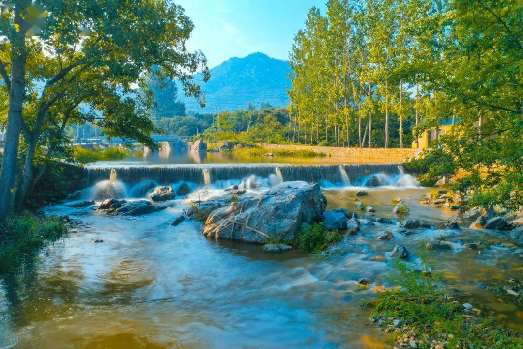 大美费县——世界长寿之乡的美酒_温河_酿酒_矿物质