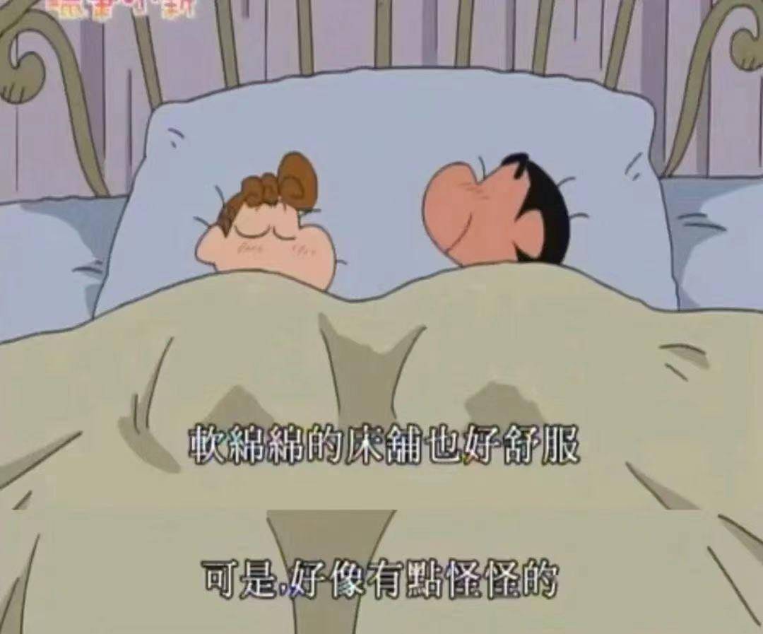 父母|长大后才看懂蜡笔小新，平凡是最幸福的