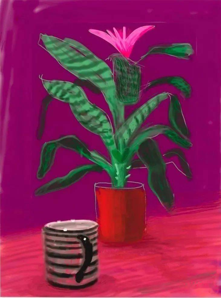 写生啦大卫霍克尼花卉