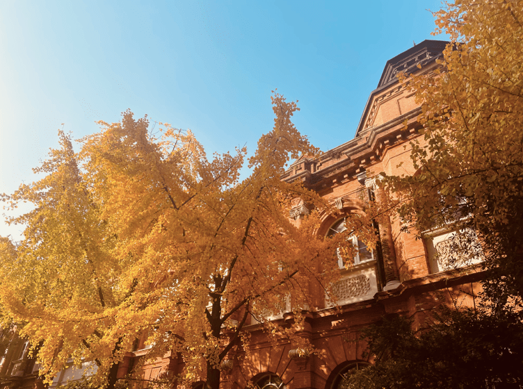 華山醫院,瑞金醫院,紅房子醫院有寶藏建築,看上海醫院建築